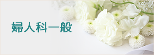 婦人科一般